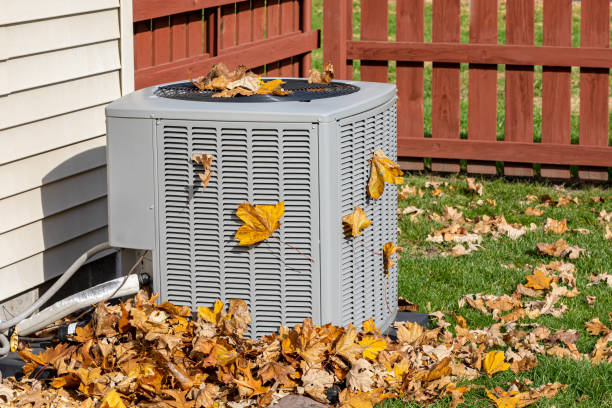 Best HVAC Air Duct Cleaning  in Derby, CT
